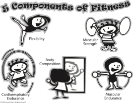 5 components of physical activity