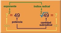 cálculo integral - Grado 7 - Quizizz