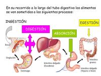 procesos endotérmicos y exotérmicos - Grado 5 - Quizizz