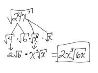 ecuaciones y funciones radicales - Grado 11 - Quizizz