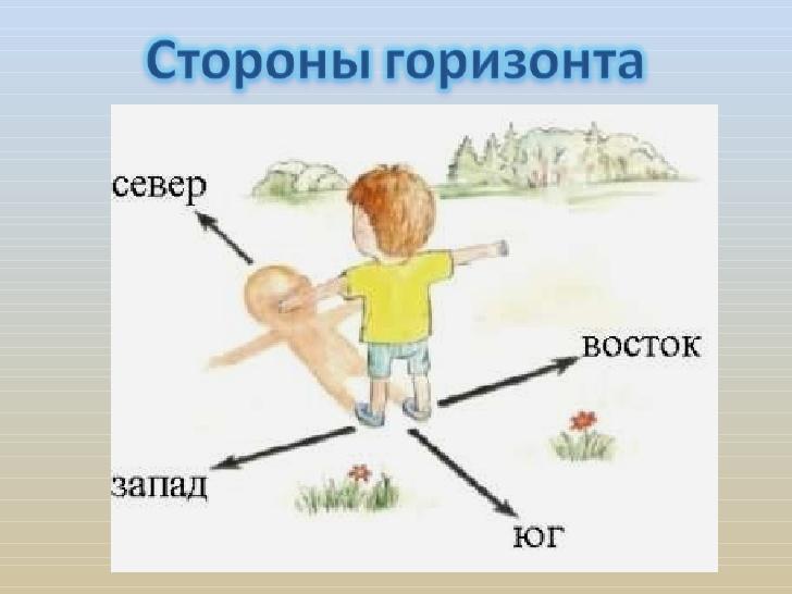 Стороны горизонта картинки для детей