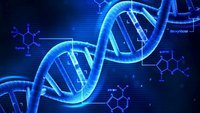dna structure and replication - Grade 11 - Quizizz