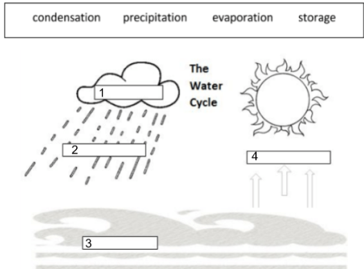 Weather and Climate | Earth Sciences Quiz - Quizizz