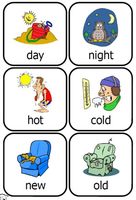 Identifying Opposites Flashcards - Quizizz