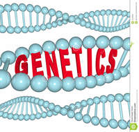 genetics - Year 7 - Quizizz