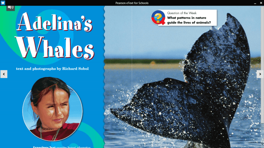 Adelina's Whales (Spelling Test) | Vocabulary Quiz - Quizizz