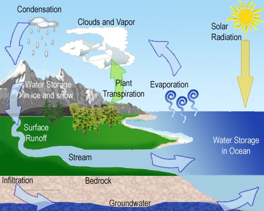 Water Cycle | 5.7K plays | Quizizz