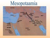 early mesopotamia - Class 5 - Quizizz
