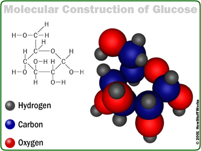 macromolecules - Class 9 - Quizizz