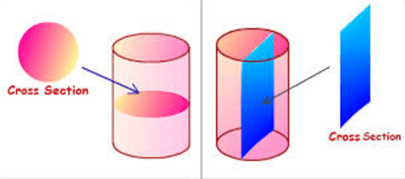 cross-sections-of-3d-shapes-geometry-quiz-quizizz