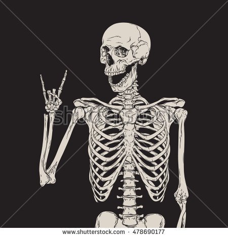 Skeleton/ Bone Test 2017 | Human Anatomy Quiz - Quizizz