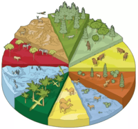 Ciencias económicas - Grado 8 - Quizizz