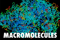 macromolecules - Year 12 - Quizizz