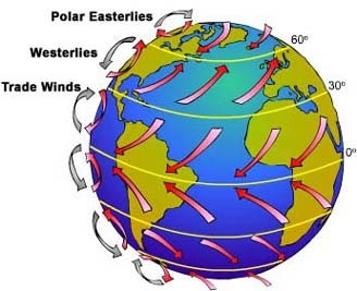 wind global patterns winds earth weather quizizz