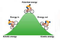 spring potential energy and hookes law - Class 6 - Quizizz