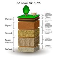 Soil Layers and Soil Evolution