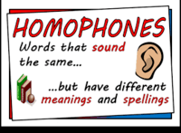 Homophones and Homographs - Year 8 - Quizizz
