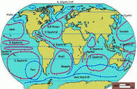 movements of ocean water - Grade 6 - Quizizz