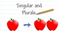 Irregular Plural Forms Flashcards - Quizizz