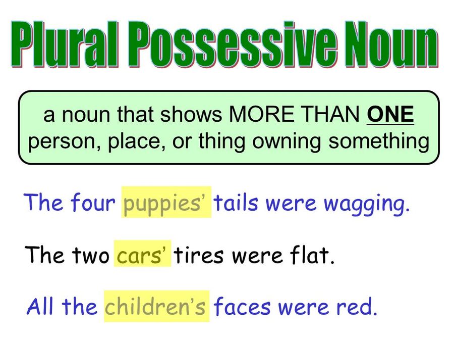 Singular And Plural Possessive Nouns Quizizz