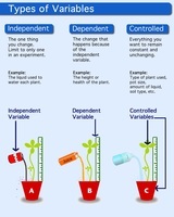 types of reproduction Flashcards - Quizizz