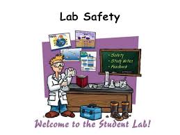 Lab Safety 2nd Grade | Quizizz