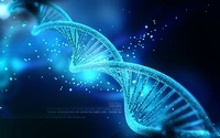 struktur dan replikasi DNA - Kelas 11 - Kuis