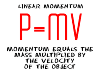 elastic collisions and conservation of momentum - Grade 12 - Quizizz