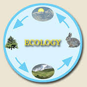 ecology Flashcards - Quizizz