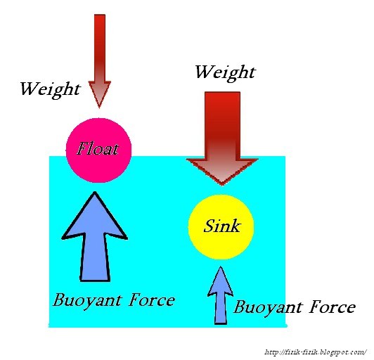 The Buoyant Force | Quizizz