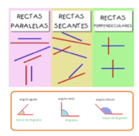 Líneas - Grado 3 - Quizizz