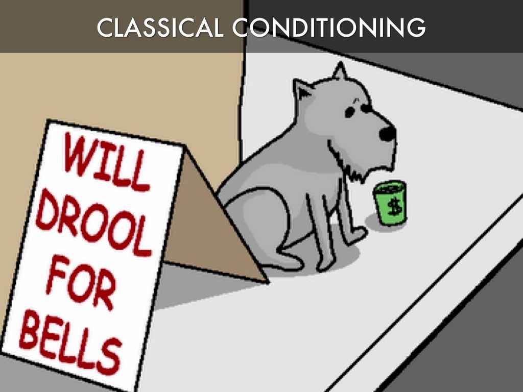 Classical Conditioning Review | Psychology Quiz - Quizizz