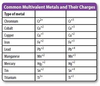 Meaning of Compound Words - Year 10 - Quizizz