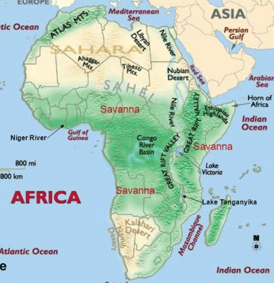 Africa's Geography Intro | Environment Quiz - Quizizz