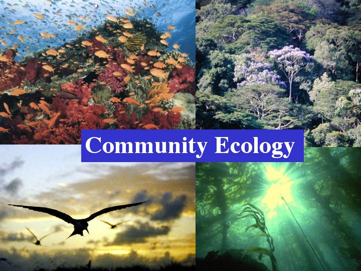 Community Ecology | Biology Quiz - Quizizz