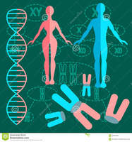 vocabulario de genética genotipo y fenotipo - Grado 9 - Quizizz