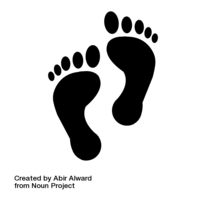 Measuring in Feet - Class 12 - Quizizz