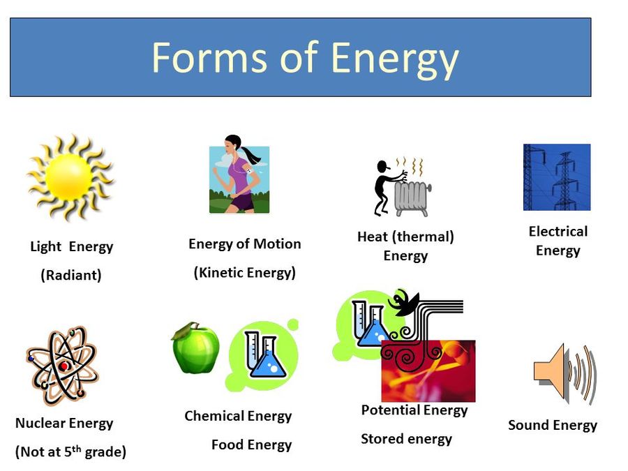 Forms of Energy | Work & Energy Quiz - Quizizz