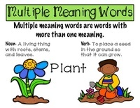 Multiple Syllable Words - Grade 3 - Quizizz