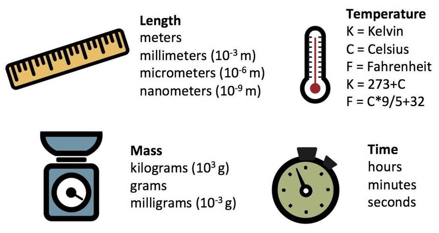 6th 2.1 Measurements in Science | General Science - Quizizz