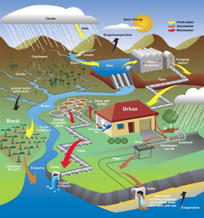 water-quality-human-impact-earth-sciences-quiz-quizizz