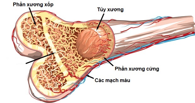 tính chất của tứ giác - Lớp 1 - Quizizz