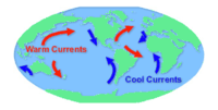 movements of ocean water - Grade 2 - Quizizz