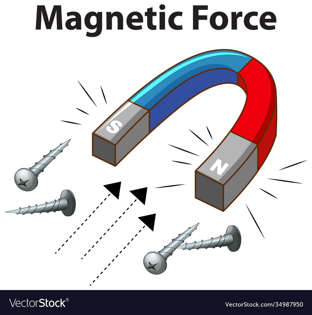 magnetic forces magnetic fields and faradays law - Grade 12 - Quizizz