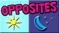 Identifying Opposites Flashcards - Quizizz