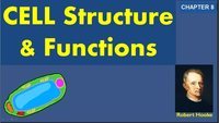 the cell membrane - Class 6 - Quizizz