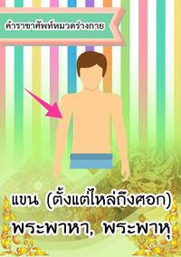 นิยาย Flashcards - แบบทดสอบ