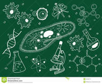 biología vegetal - Grado 2 - Quizizz