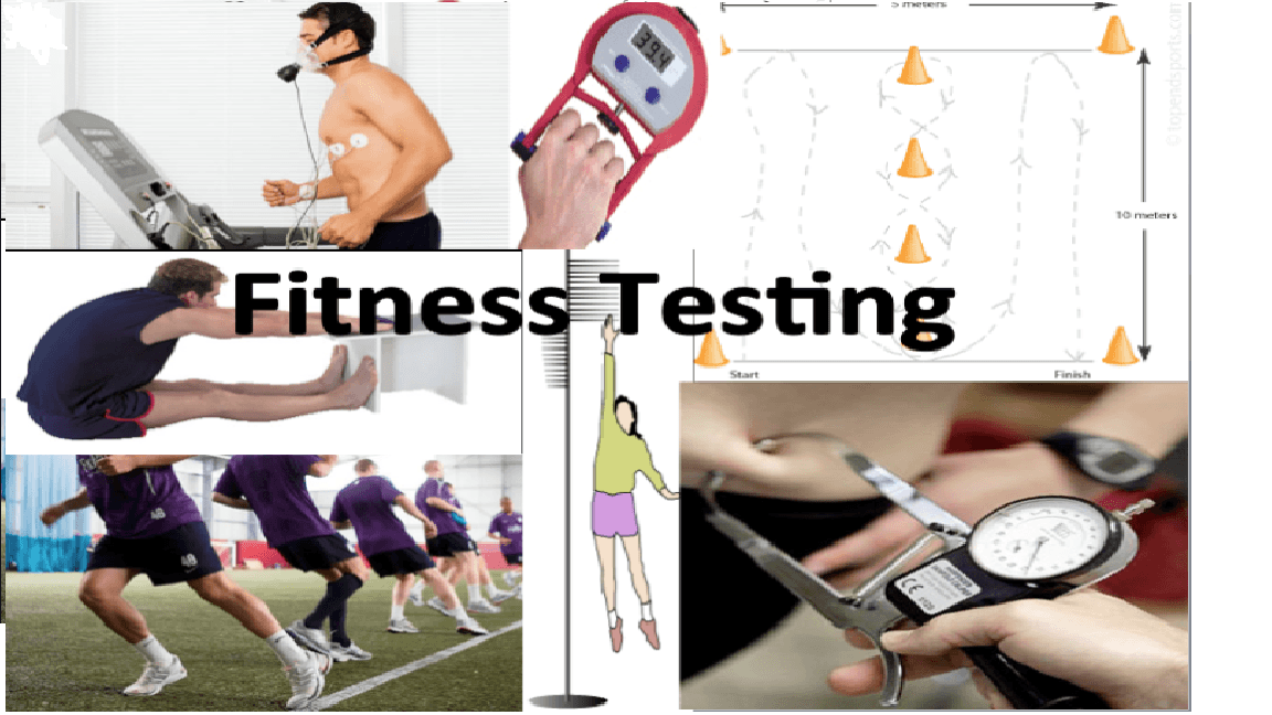 Year 7 Fitness Tests Assessment