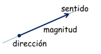 vectores Tarjetas didácticas - Quizizz